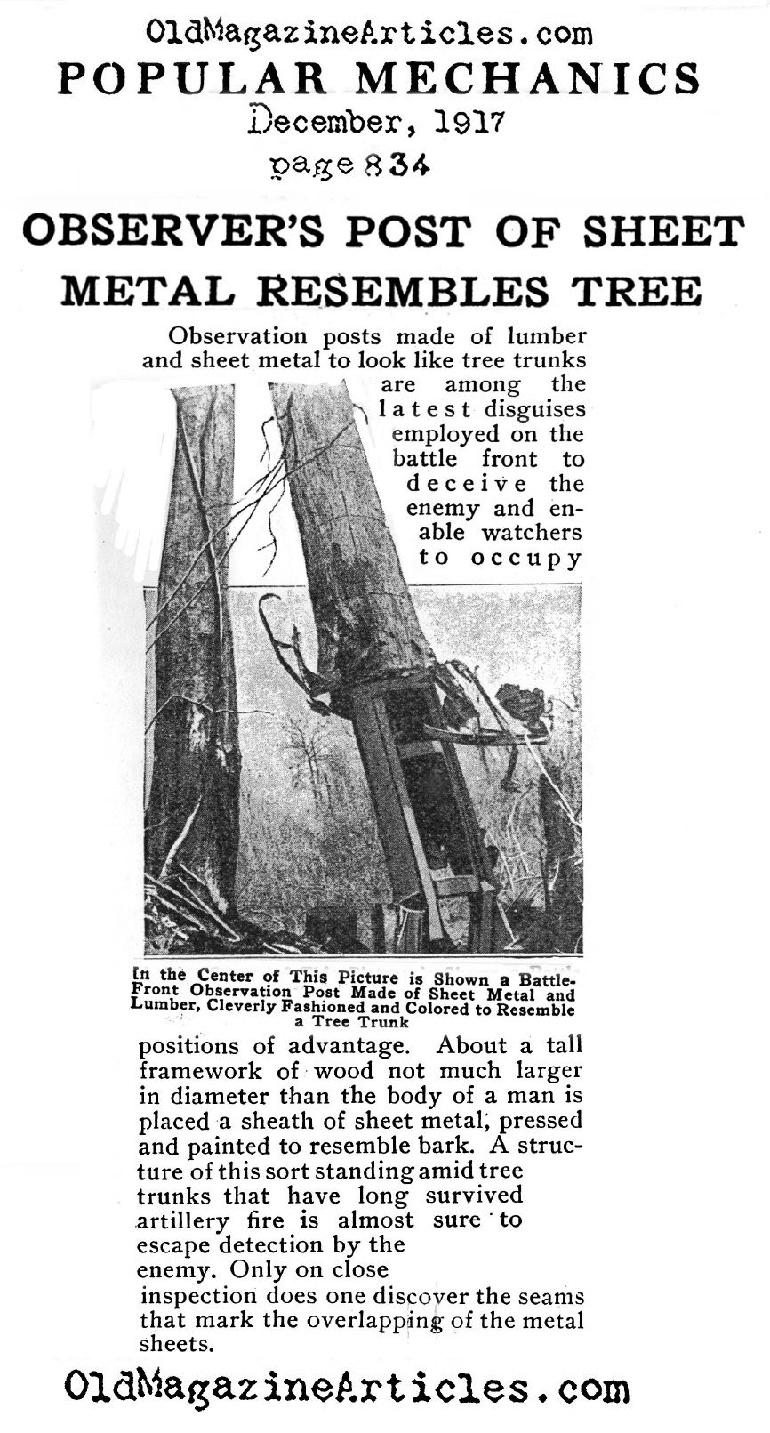 The Steel Tree Stump, Part I (Popular Mechanics, 1917)